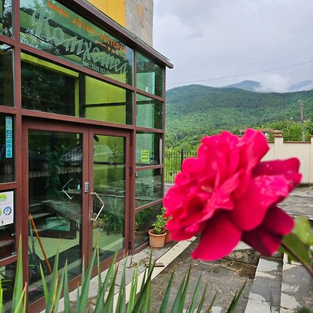 Family Hotel Komhotel Берковица Экстерьер фото
