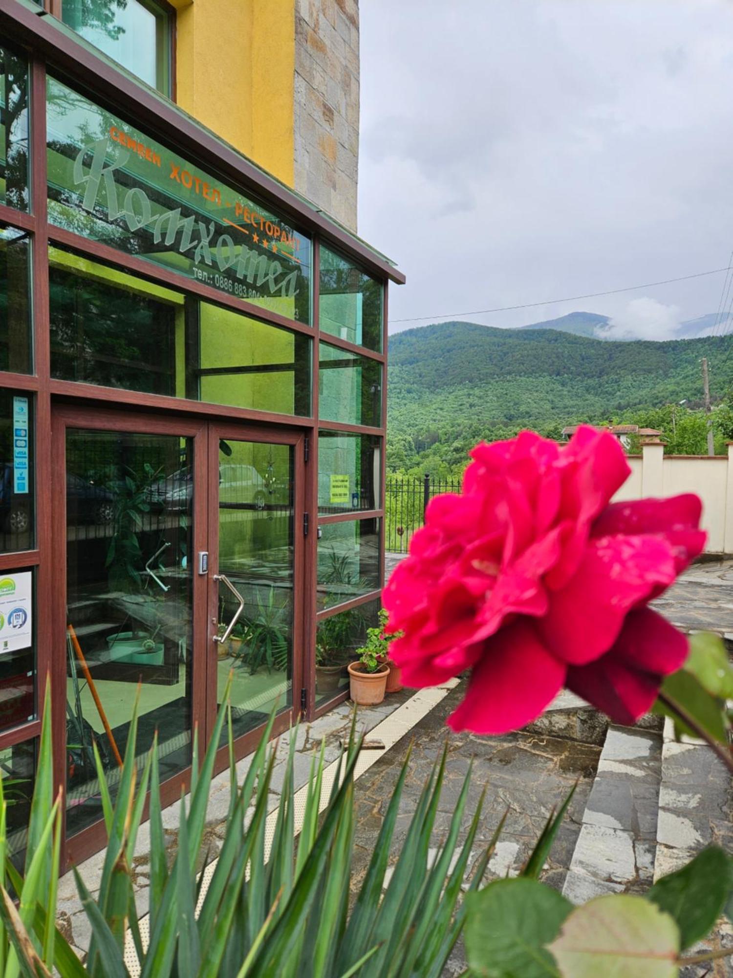 Family Hotel Komhotel Берковица Экстерьер фото